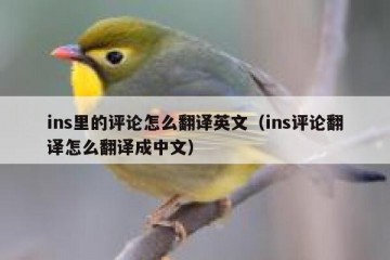 ins里的评论怎么翻译英文（ins评论翻译怎么翻译成中文）