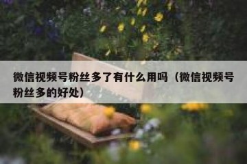 微信视频号粉丝多了有什么用吗（微信视频号粉丝多的好处）