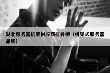 湖北服务器机架供应商排名榜（机架式服务器品牌）