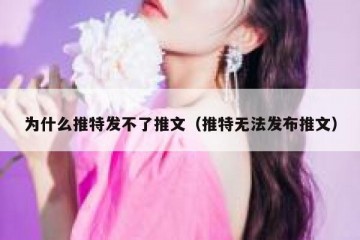 为什么推特发不了推文（推特无法发布推文）
