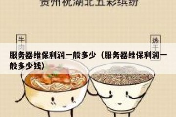 服务器维保利润一般多少（服务器维保利润一般多少钱）