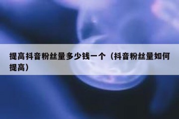 提高抖音粉丝量多少钱一个（抖音粉丝量如何提高）
