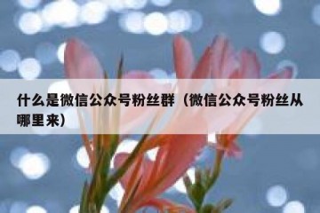 什么是微信公众号粉丝群（微信公众号粉丝从哪里来）