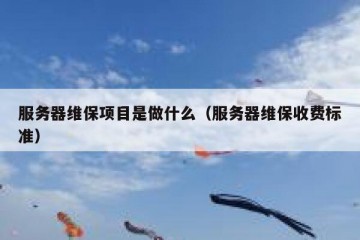 服务器维保项目是做什么（服务器维保收费标准）