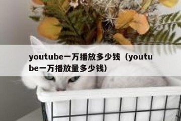 youtube一万播放多少钱（youtube一万播放量多少钱）