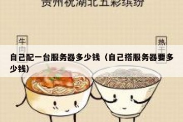 自己配一台服务器多少钱（自己搭服务器要多少钱）