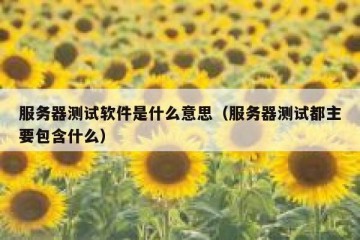 服务器测试软件是什么意思（服务器测试都主要包含什么）