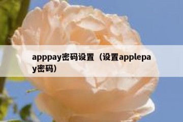 apppay密码设置（设置applepay密码）