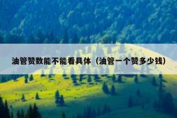 油管赞数能不能看具体（油管一个赞多少钱）