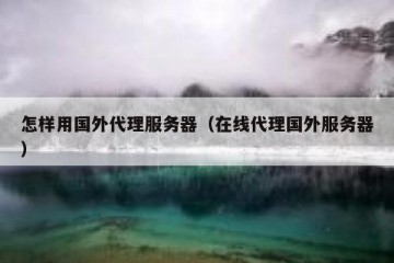 怎样用国外代理服务器（在线代理国外服务器）