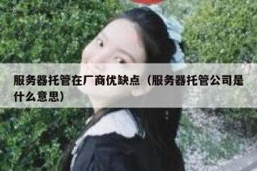 服务器托管在厂商优缺点（服务器托管公司是什么意思）