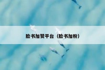 脸书加赞平台（脸书加粉）
