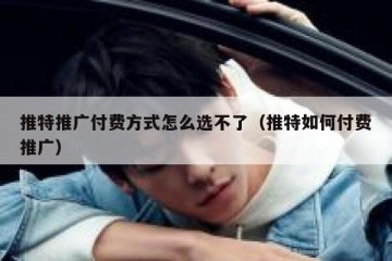 推特推广付费方式怎么选不了（推特如何付费推广）