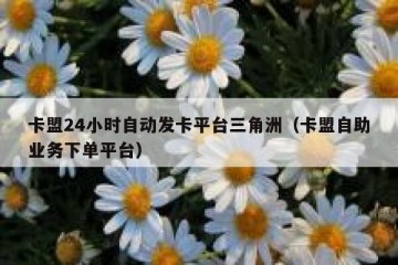 卡盟24小时自动发卡平台三角洲（卡盟自助业务下单平台）