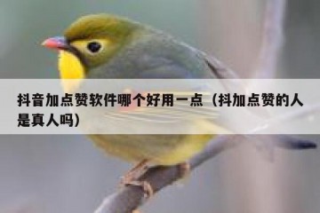 抖音加点赞软件哪个好用一点（抖加点赞的人是真人吗）