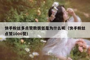 快手粉丝多点赞数很低是为什么呢（快手粉丝点赞1000赞）