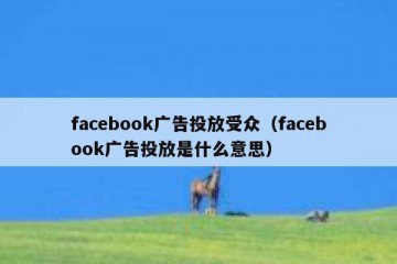 facebook广告投放受众（facebook广告投放是什么意思）