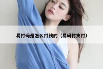 易付码是怎么付钱的（易码付支付）