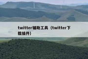 twitter辅助工具（twitter下载插件）