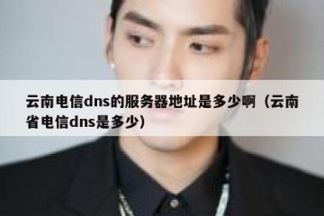 云南电信dns的服务器地址是多少啊（云南省电信dns是多少）