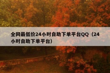 全网最低价24小时自助下单平台QQ（24小时自助下单平台）
