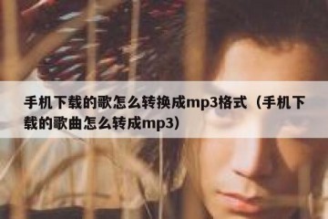 手机下载的歌怎么转换成mp3格式（手机下载的歌曲怎么转成mp3）
