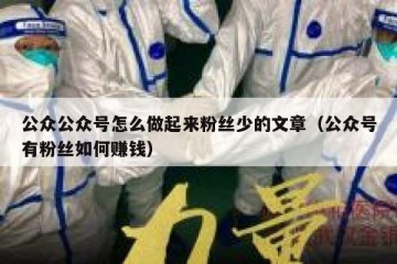 公众公众号怎么做起来粉丝少的文章（公众号有粉丝如何赚钱）