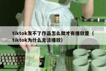 tiktok发不了作品怎么做才有播放量（tiktok为什么无法播放）