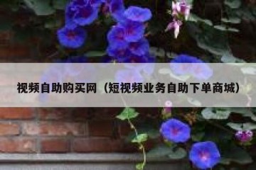 视频自助购买网（短视频业务自助下单商城）
