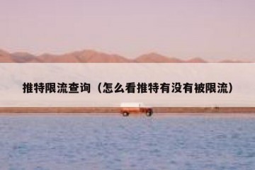 推特限流查询（怎么看推特有没有被限流）