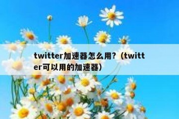twitter加速器怎么用?（twitter可以用的加速器）