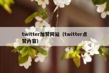 twitter加赞网站（twitter点赞内容）
