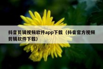 抖音剪辑视频软件app下载（抖音官方视频剪辑软件下载）