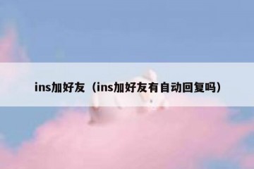 ins加好友（ins加好友有自动回复吗）