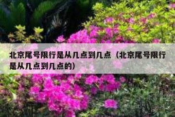 北京尾号限行是从几点到几点（北京尾号限行是从几点到几点的）