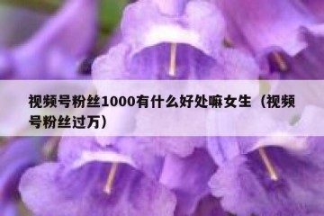 视频号粉丝1000有什么好处嘛女生（视频号粉丝过万）