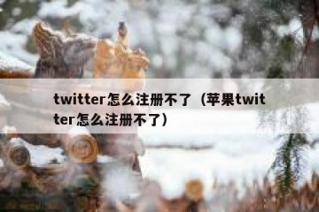 twitter怎么注册不了（苹果twitter怎么注册不了）