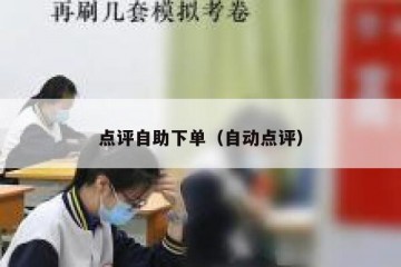 点评自助下单（自动点评）