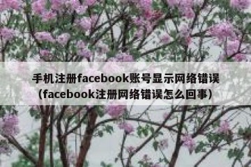 手机注册facebook账号显示网络错误（facebook注册网络错误怎么回事）
