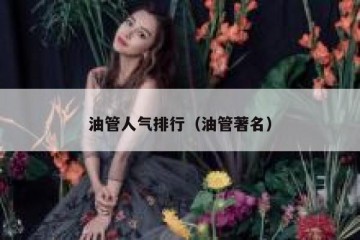油管人气排行（油管著名）