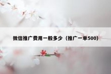 微信推广费用一般多少（推广一单500）