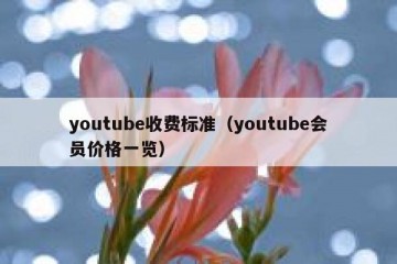 youtube收费标准（youtube会员价格一览）