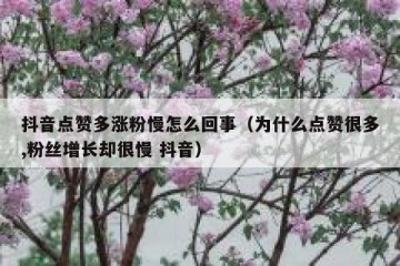 抖音点赞多涨粉慢怎么回事（为什么点赞很多,粉丝增长却很慢 抖音）