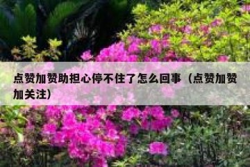 点赞加赞助担心停不住了怎么回事（点赞加赞加关注）