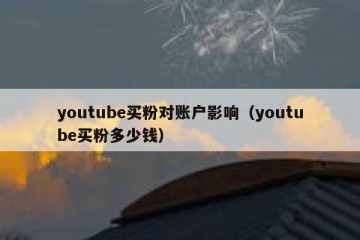 youtube买粉对账户影响（youtube买粉多少钱）