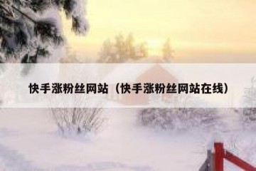 快手涨粉丝网站（快手涨粉丝网站在线）