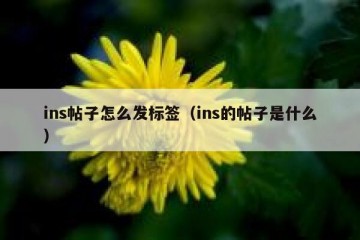 ins帖子怎么发标签（ins的帖子是什么）