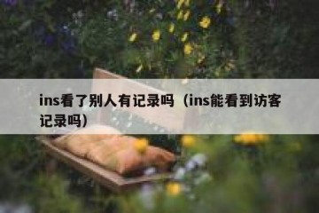 ins看了别人有记录吗（ins能看到访客记录吗）