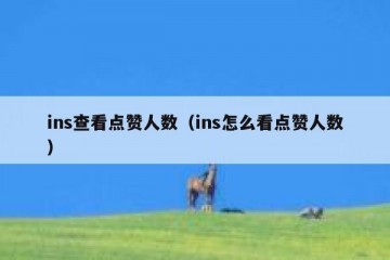 ins查看点赞人数（ins怎么看点赞人数）