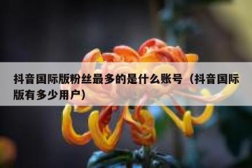 抖音国际版粉丝最多的是什么账号（抖音国际版有多少用户）